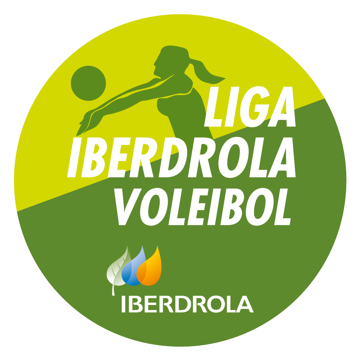 LOGO LIGA IBERDROLA_VOLEIBOL_NUEVO_100x100_01 Fedes Ascensores Ciudad de La Laguna LOGO LIGA IBERDROLA_VOLEIBOL_NUEVO_100x100_01 Fedes Ascensores Ciudad de La Laguna