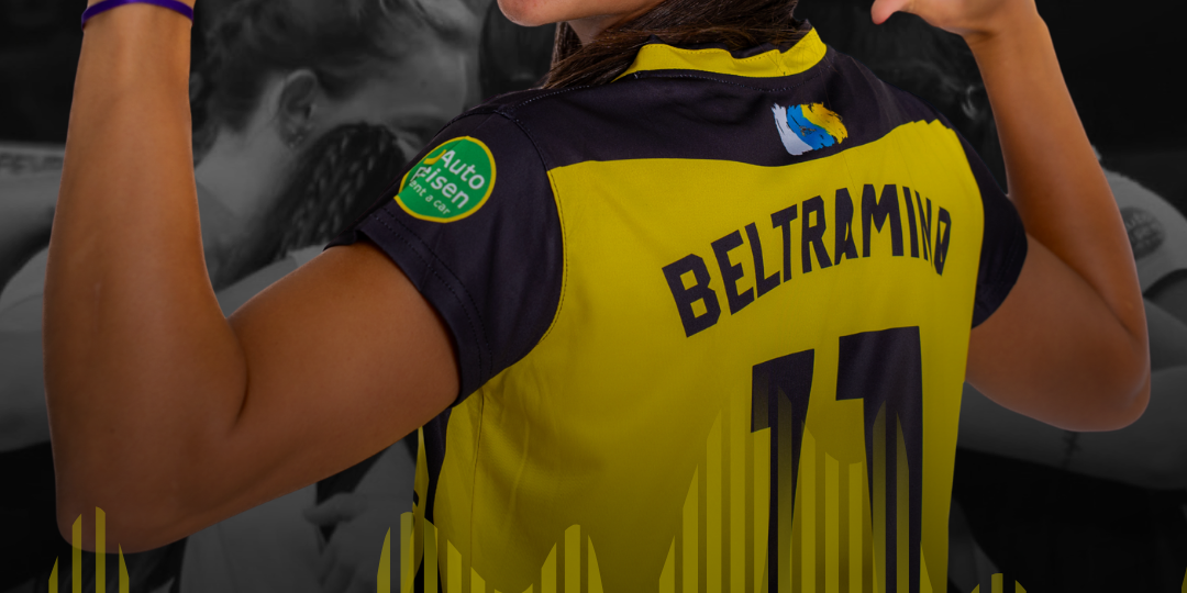 DISEÑO AGOS BELTRAMINO