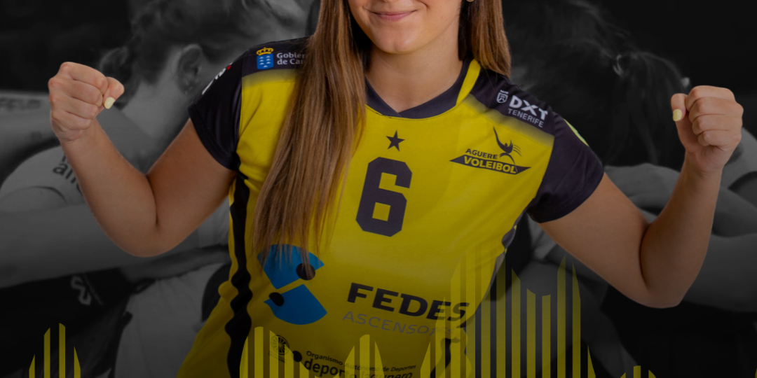 DISEÑO LAIA